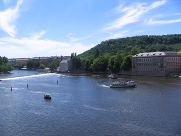 STE_6446.jpg STE_6446.jpg