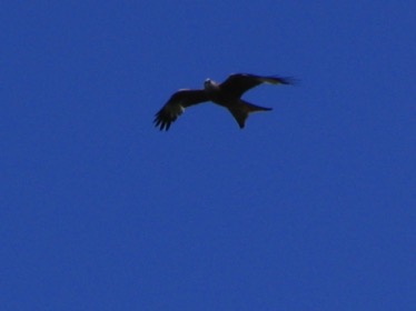 IMG_0070.jpg IMG_0070.jpg
