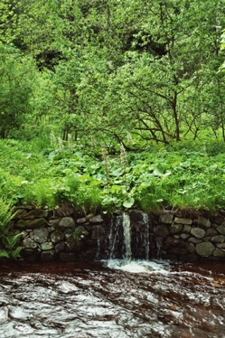 imm007_7A.jpg imm007_7A.jpg