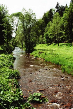 imm009_9A.jpg imm009_9A.jpg