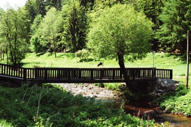 imm010_10A.jpg imm010_10A.jpg