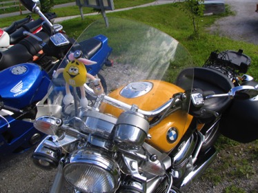 IMG_8986.jpg IMG_8986.jpg