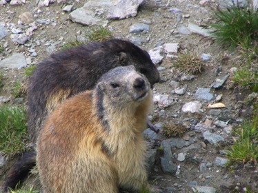 IMG_9110.jpg IMG_9110.jpg