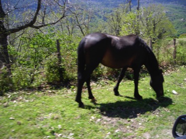 DSCN1955.jpg DSCN1955.jpg