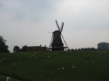 IMG_4093.jpg IMG_4093.jpg